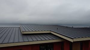 Best Metal Roofing Installation  in Edgerton, MN